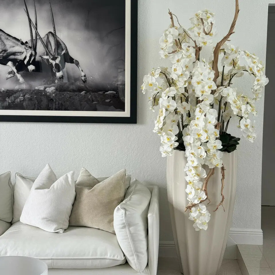 Evig Magnolia