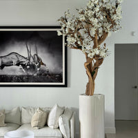 Evig Magnolia