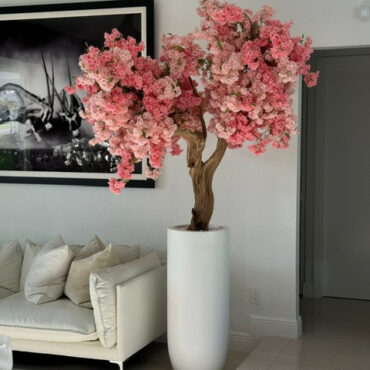 Evig Magnolia