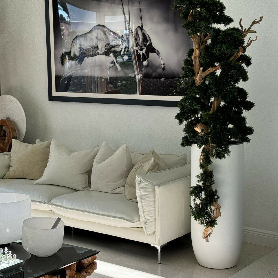 Evig Magnolia