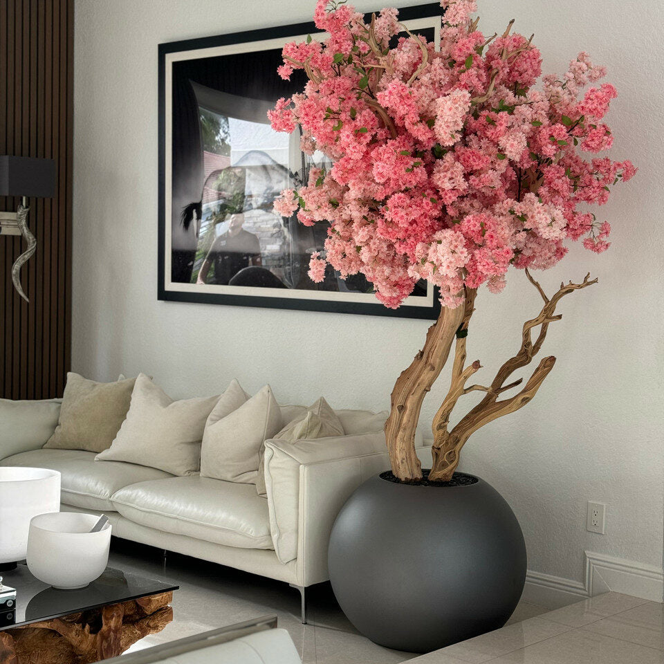 Evig Magnolia