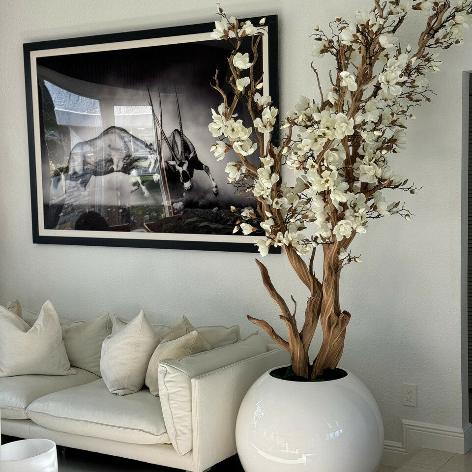 Evig Magnolia