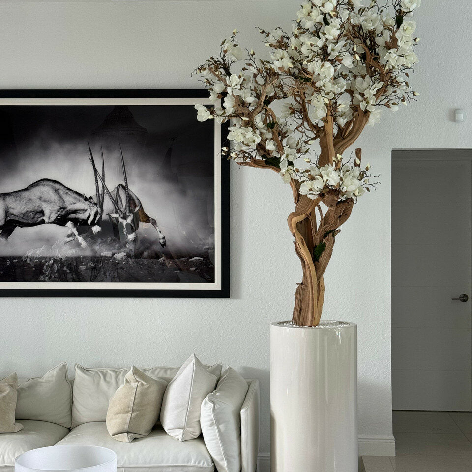 Evig Magnolia