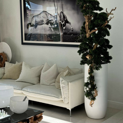 Evig Magnolia